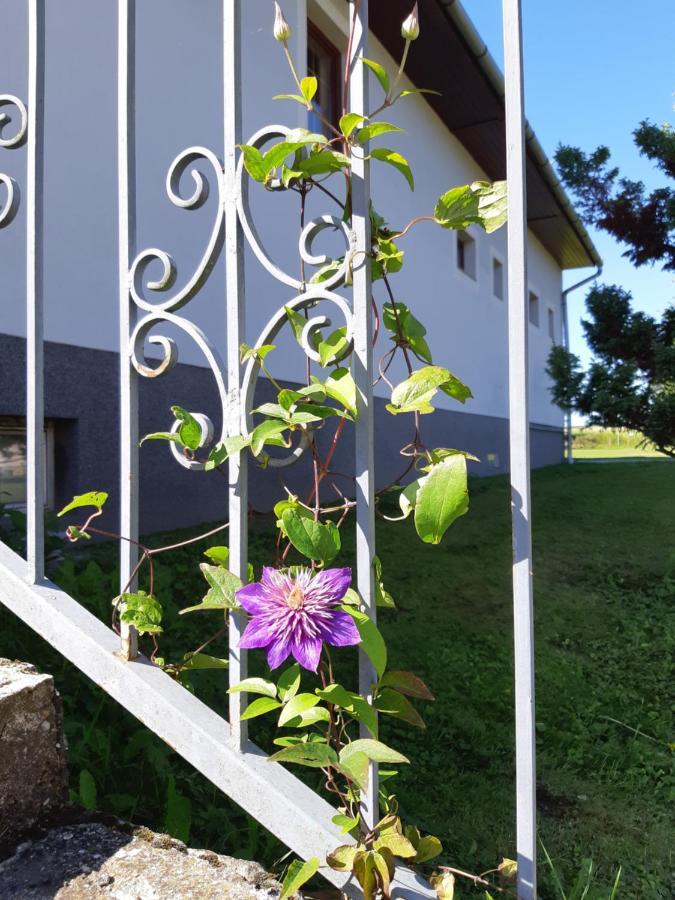 Axtburg Apartments Berbaltavar 외부 사진